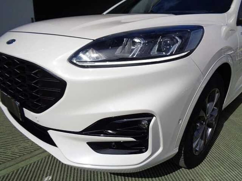 Ford Kuga usata a Treviso (5)