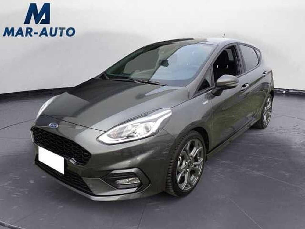 Ford Fiesta usata a Treviso