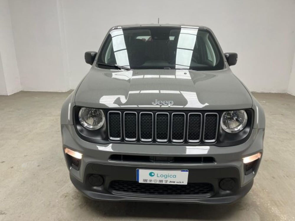 Jeep Renegade usata a Biella (2)