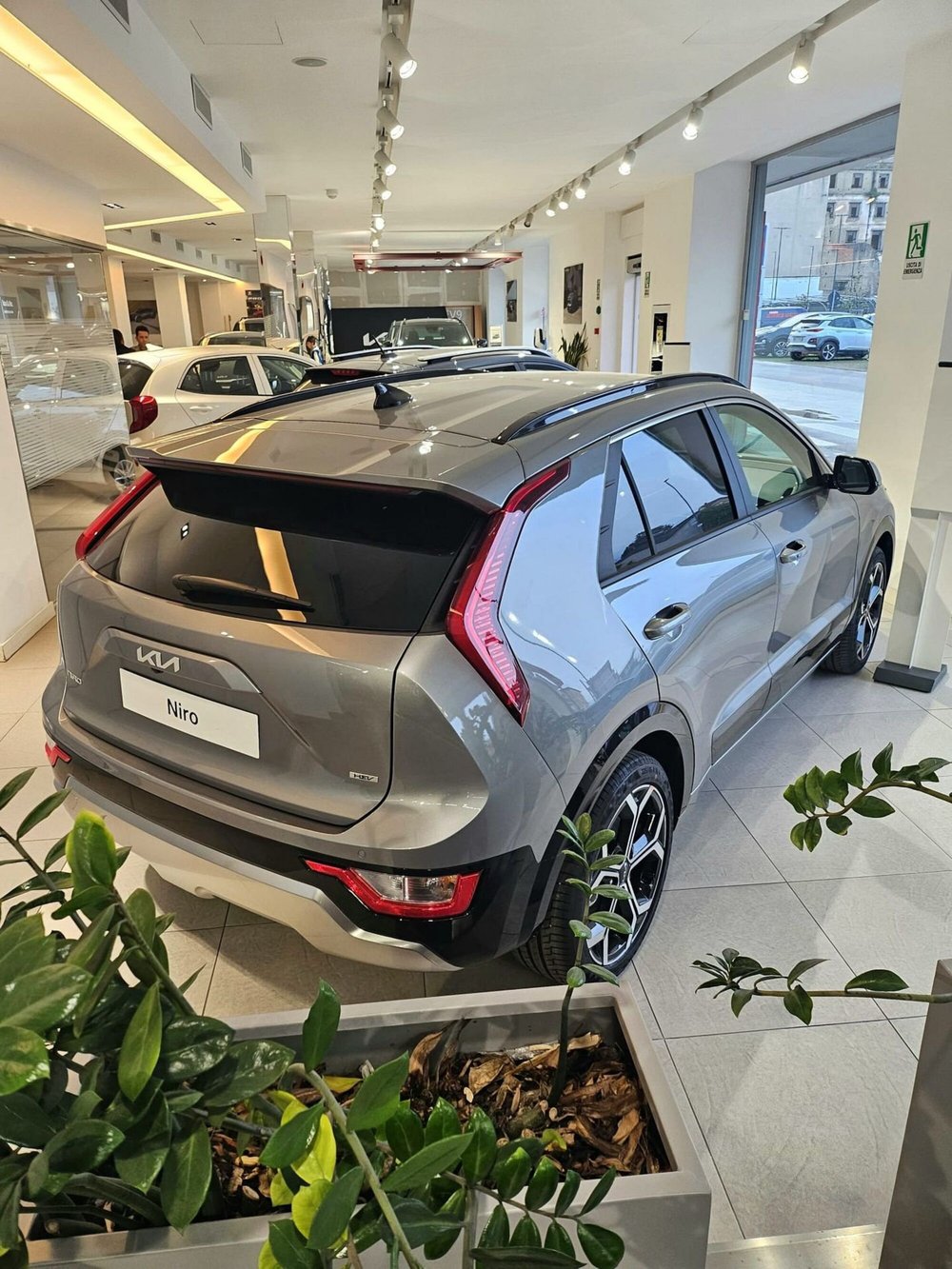 Kia Niro nuova a Napoli (3)