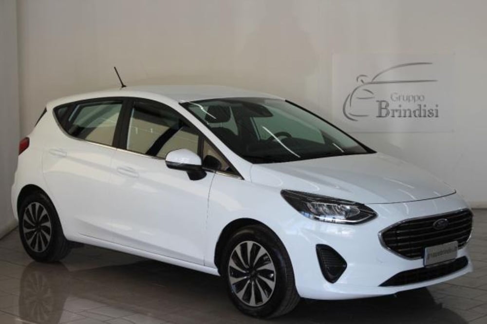 Ford Fiesta usata a Potenza