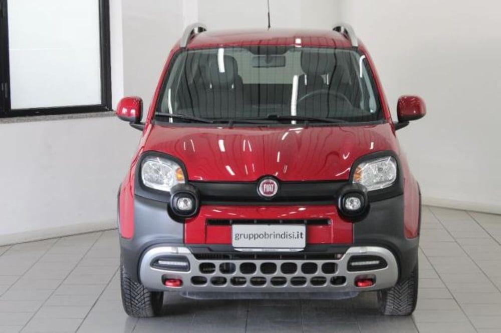 Fiat Panda Cross usata a Potenza (2)