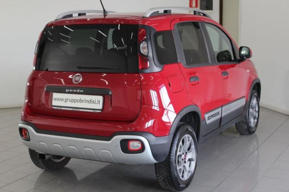 Fiat Panda Cross usata a Potenza (4)