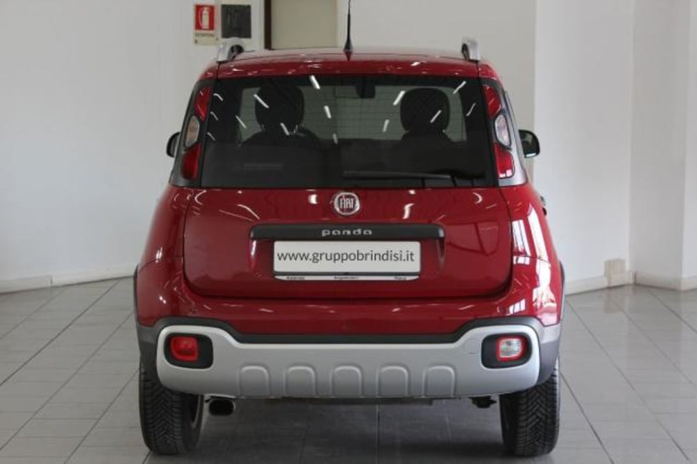 Fiat Panda Cross usata a Potenza (5)