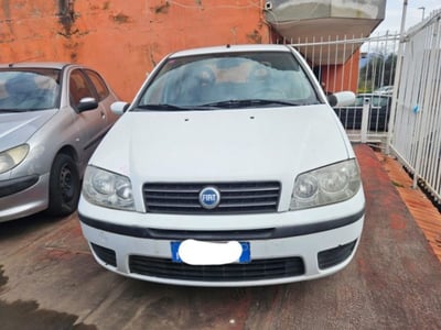 Fiat Punto 1.2 5 porte Active Natural Power del 2005 usata a Somma Vesuviana