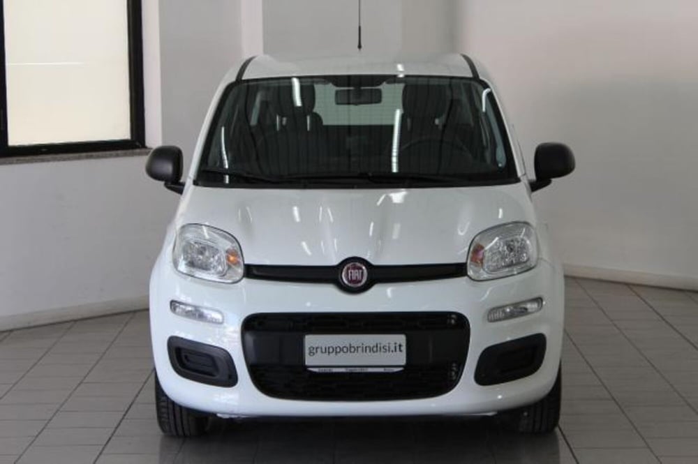 Fiat Panda usata a Potenza (2)