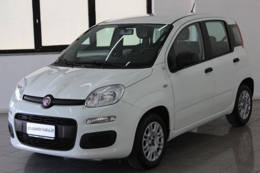 Fiat Panda usata a Potenza (3)