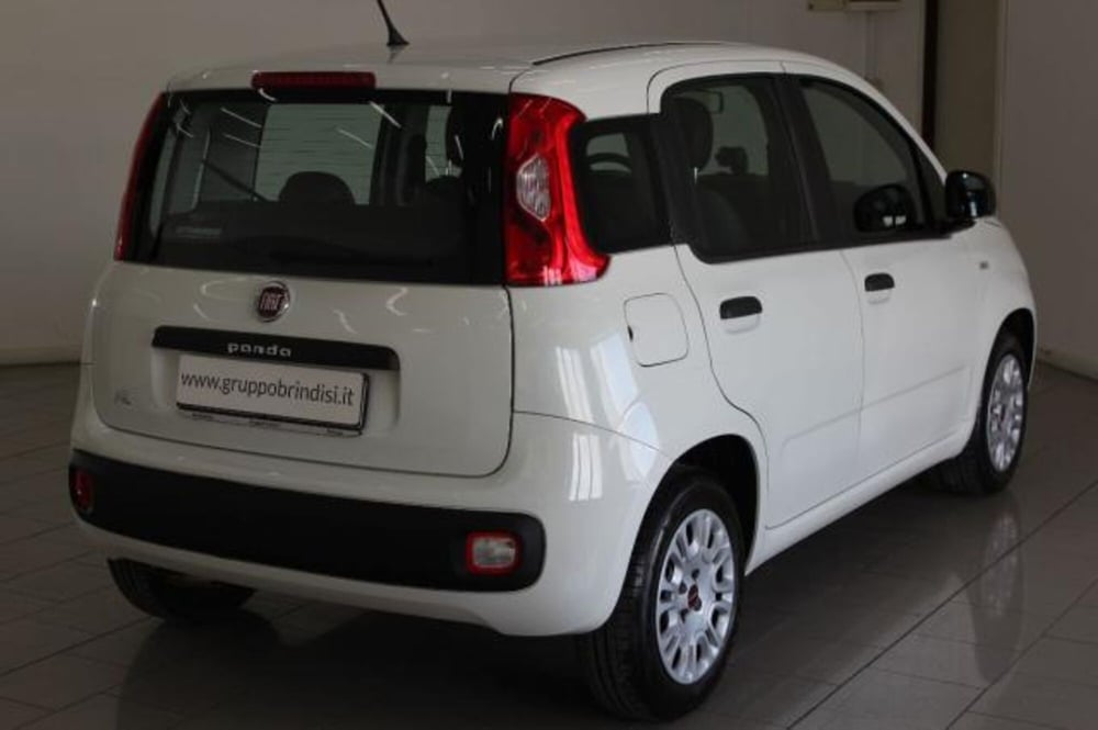 Fiat Panda usata a Potenza (4)