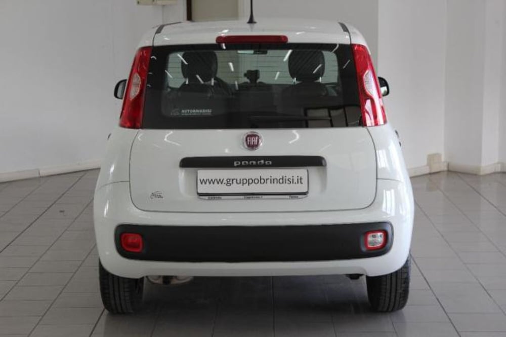 Fiat Panda usata a Potenza (5)