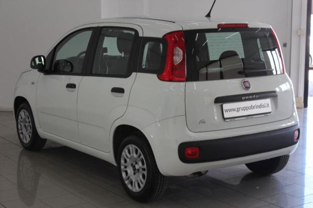 Fiat Panda usata a Potenza (6)