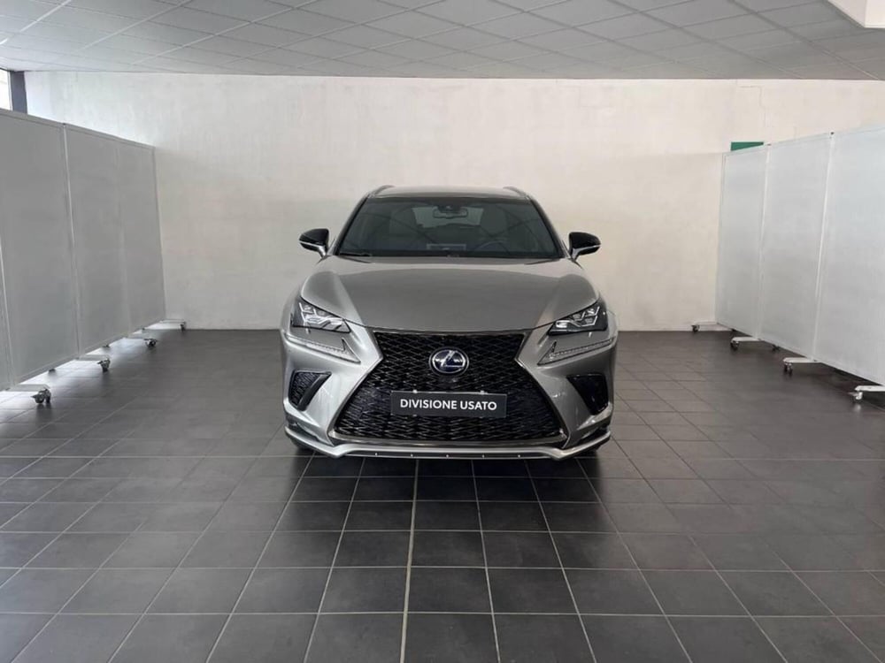 Lexus NX usata a Torino (5)