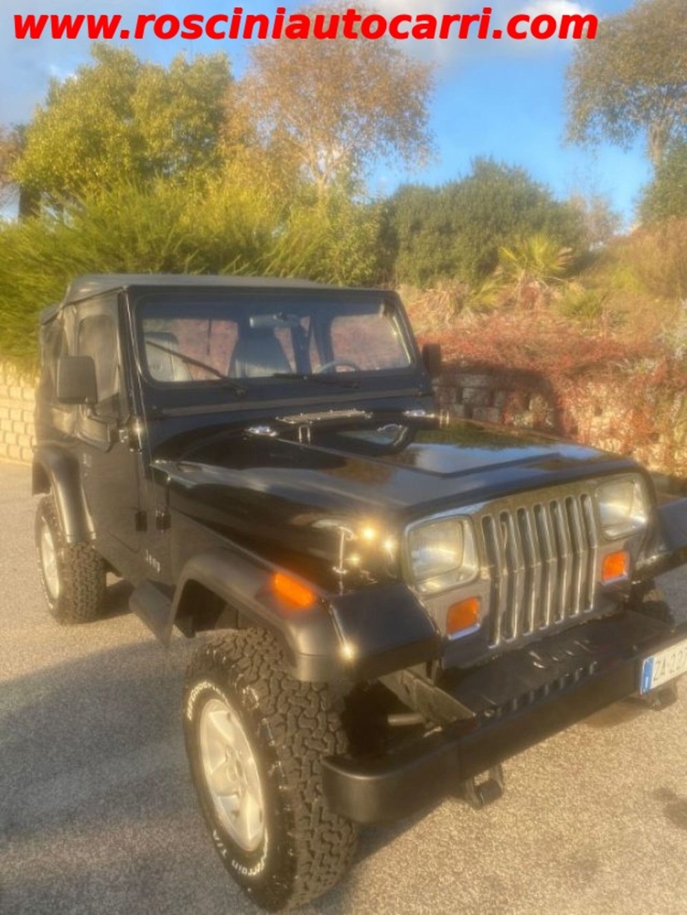 Jeep Wrangler usata a Roma (3)