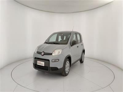 Fiat Panda 1.0 firefly hybrid s&amp;s 70cv 5p.ti del 2023 usata a Bari