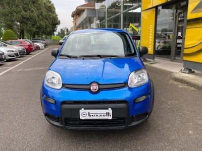 Fiat Panda 1.0 firefly hybrid s&amp;s 70cv 5p.ti nuova a Rho