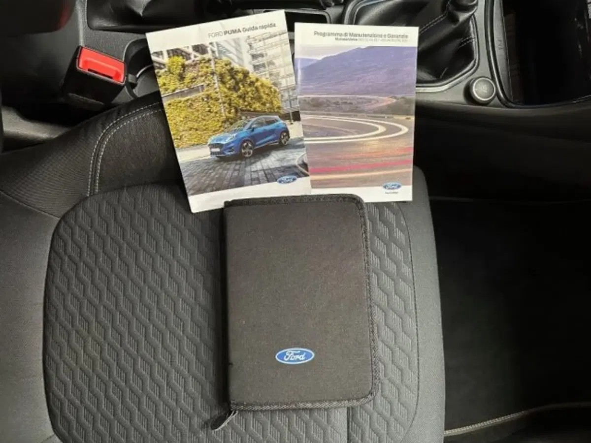 Ford Puma usata a Cuneo (13)