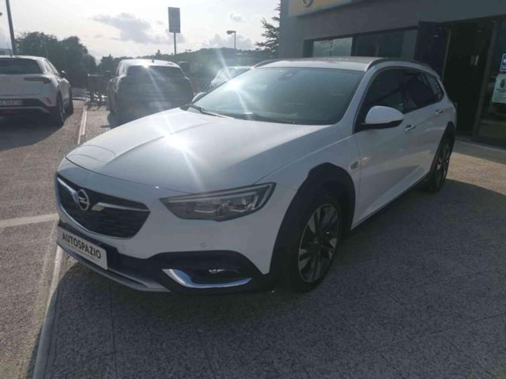 Opel Insignia Station Wagon usata a Campobasso (2)