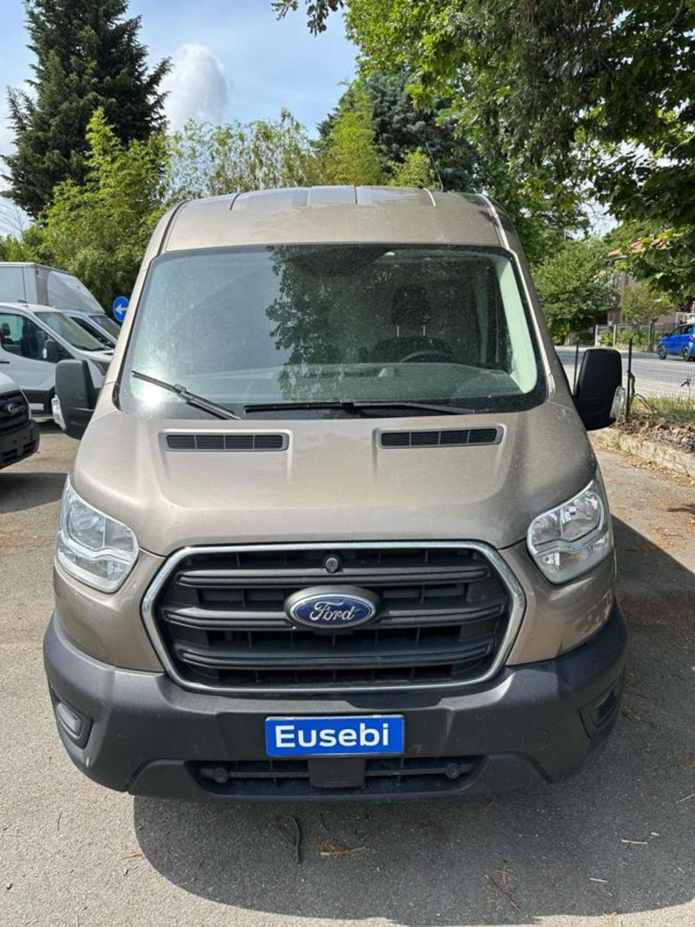 Ford Transit Furgone usata a Pesaro-Urbino (3)