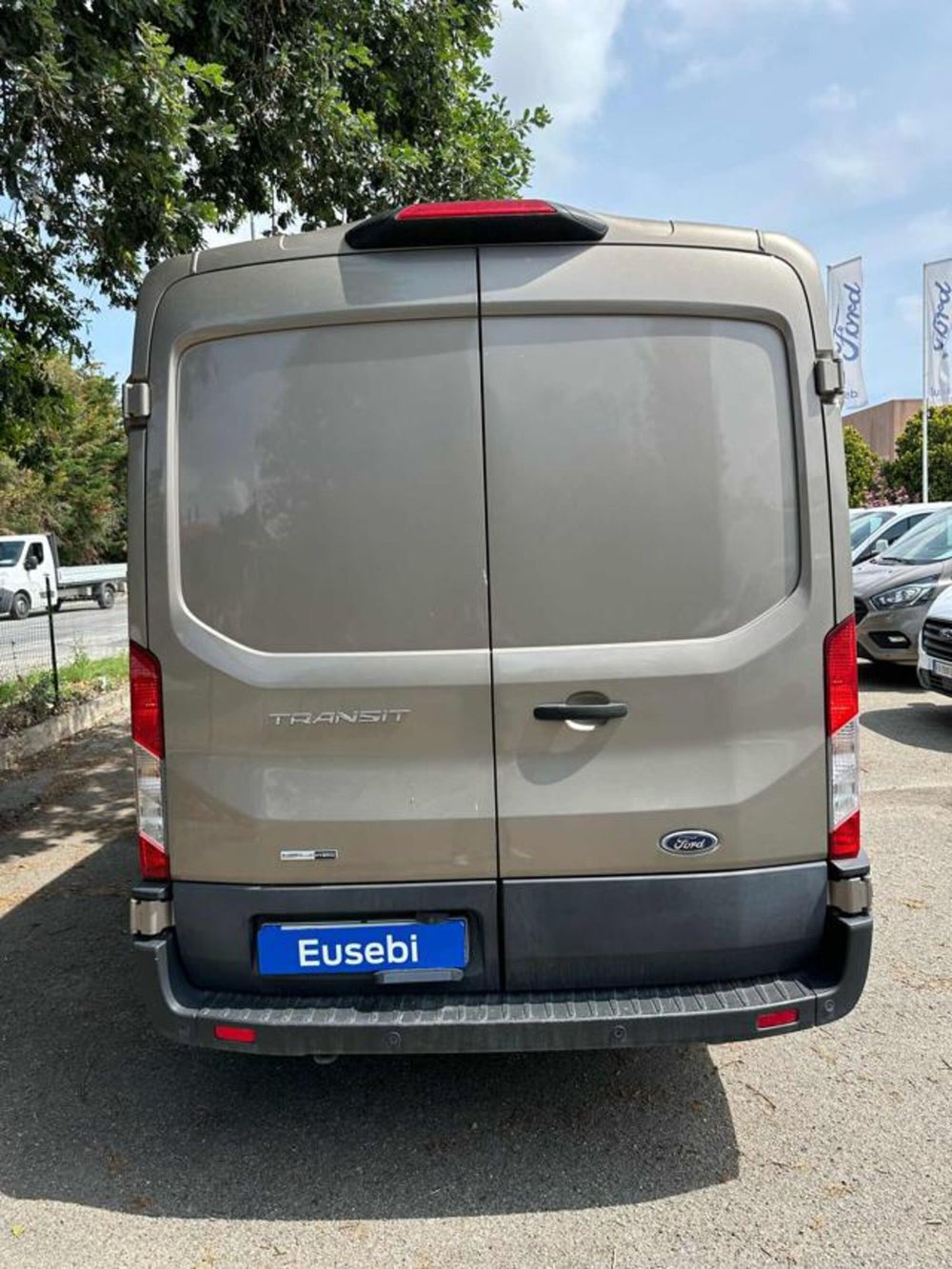 Ford Transit Furgone usata a Pesaro-Urbino (4)