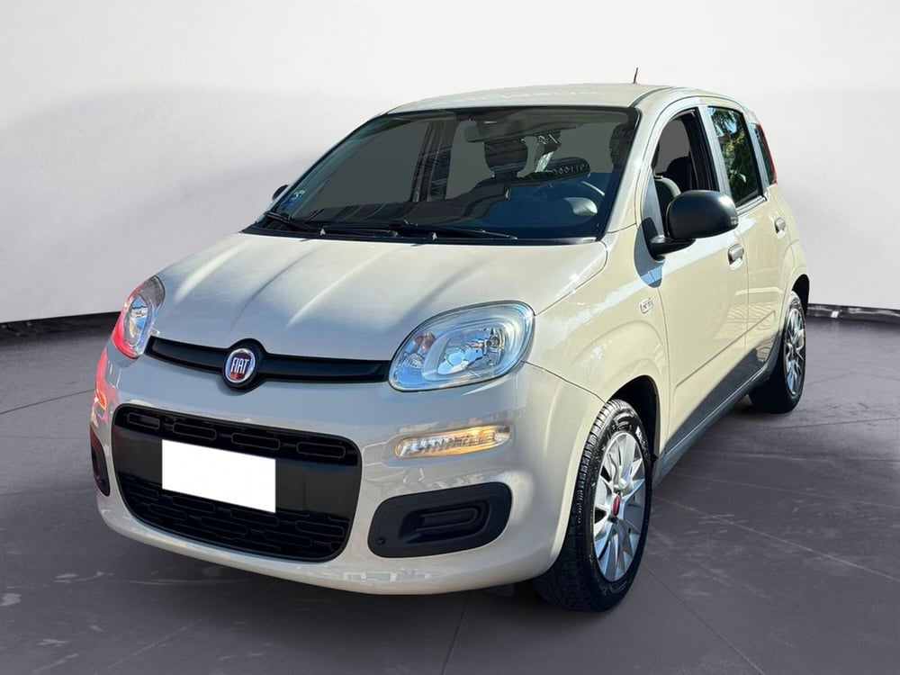 Fiat Panda usata a Torino