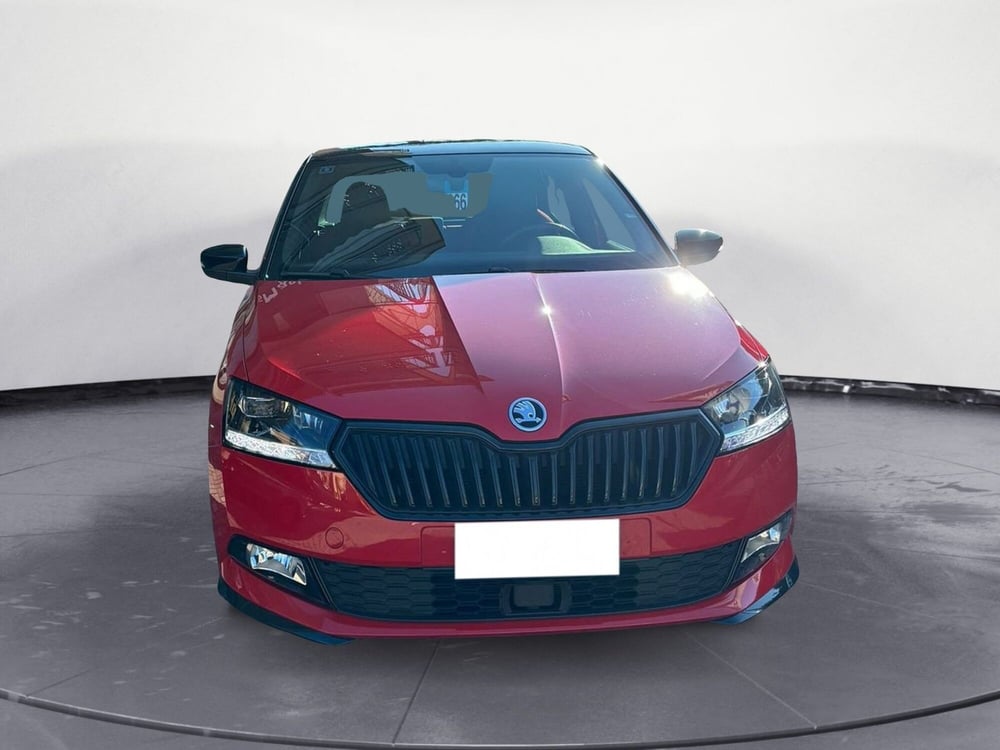 Skoda Fabia usata a Torino (3)