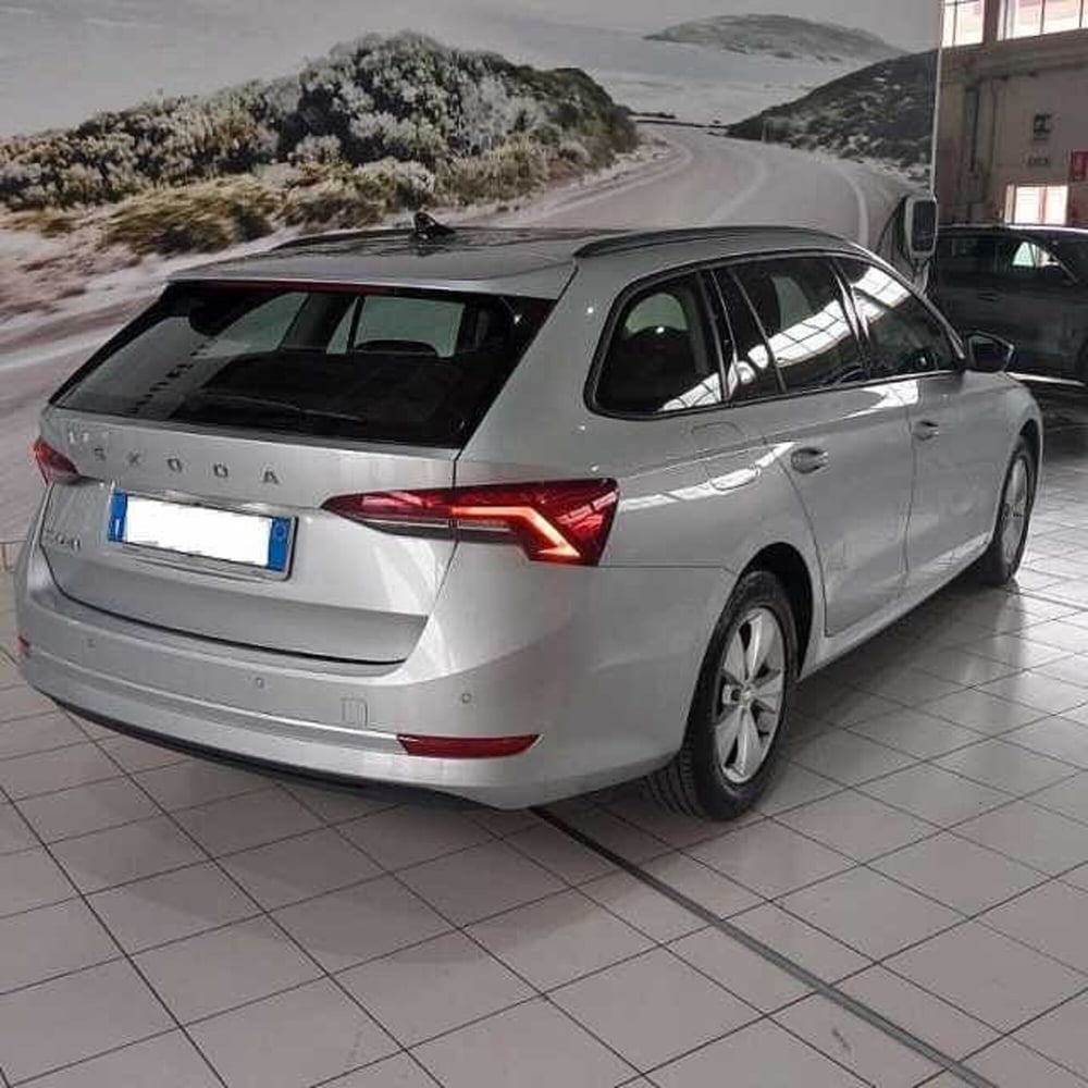 Skoda Octavia Station Wagon usata a Barletta-Andria-Trani (4)