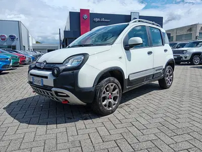 Fiat Panda Cross Cross 0.9 TwinAir Turbo S&amp;S 4x4 del 2020 usata a Alessandria
