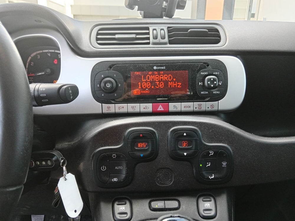 Fiat Panda Cross usata a Alessandria (11)