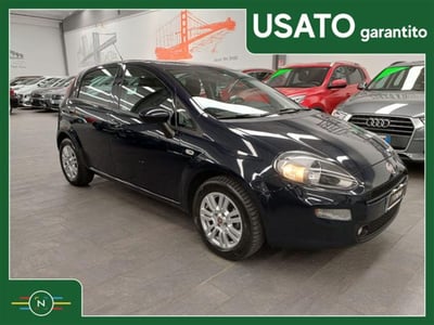 Fiat Punto 1.2 8V 5 porte Lounge  del 2016 usata a Vaiano Cremasco