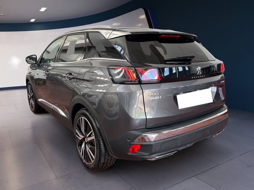 Peugeot 3008 usata a Torino (4)