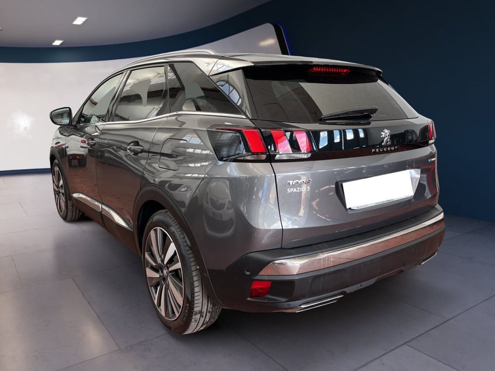 Peugeot 3008 usata a Torino (4)