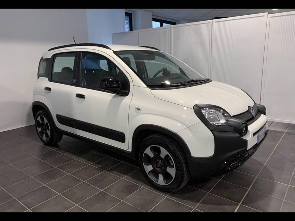 Fiat Panda usata a Torino (2)