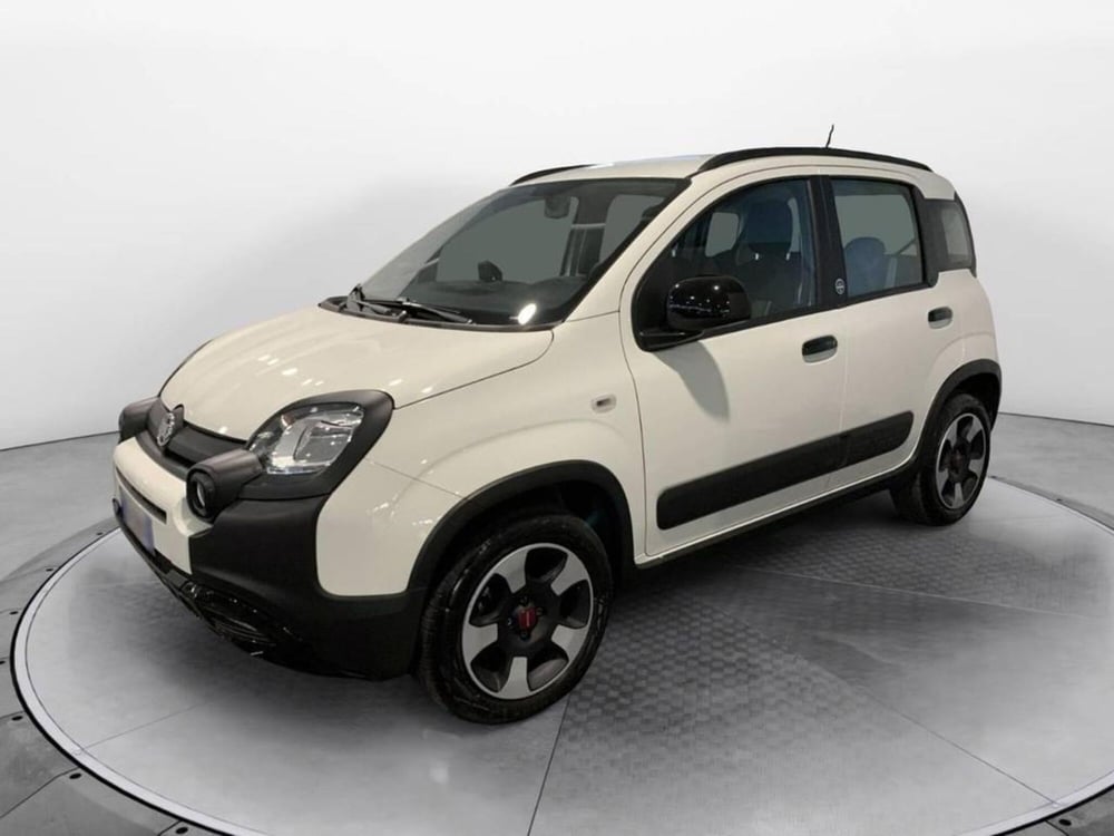 Fiat Panda usata a Torino