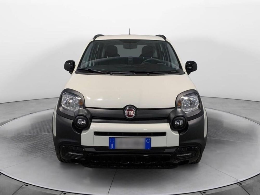Fiat Panda usata a Torino (2)