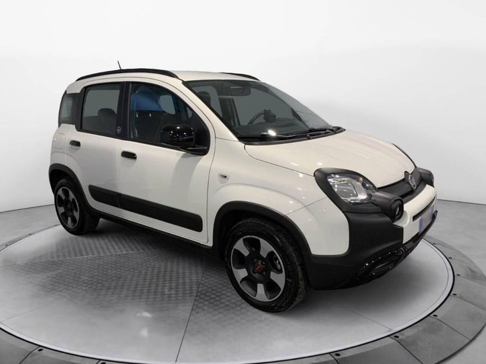 Fiat Panda usata a Torino (3)