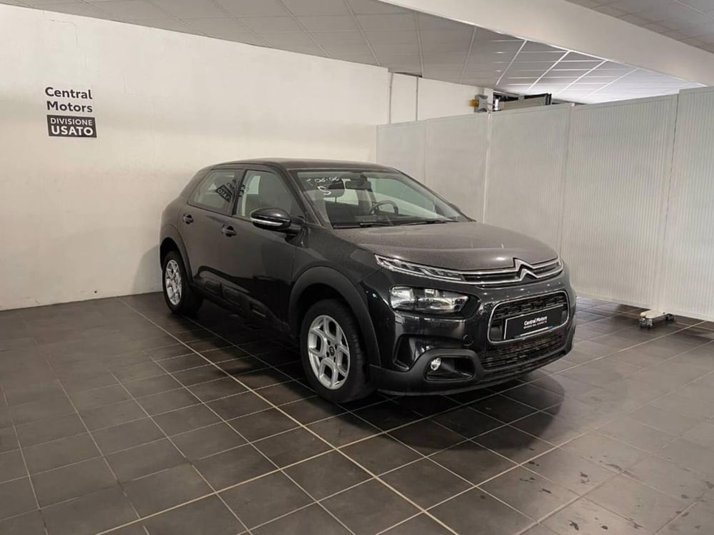 Citroen C4 Cactus usata a Torino (2)