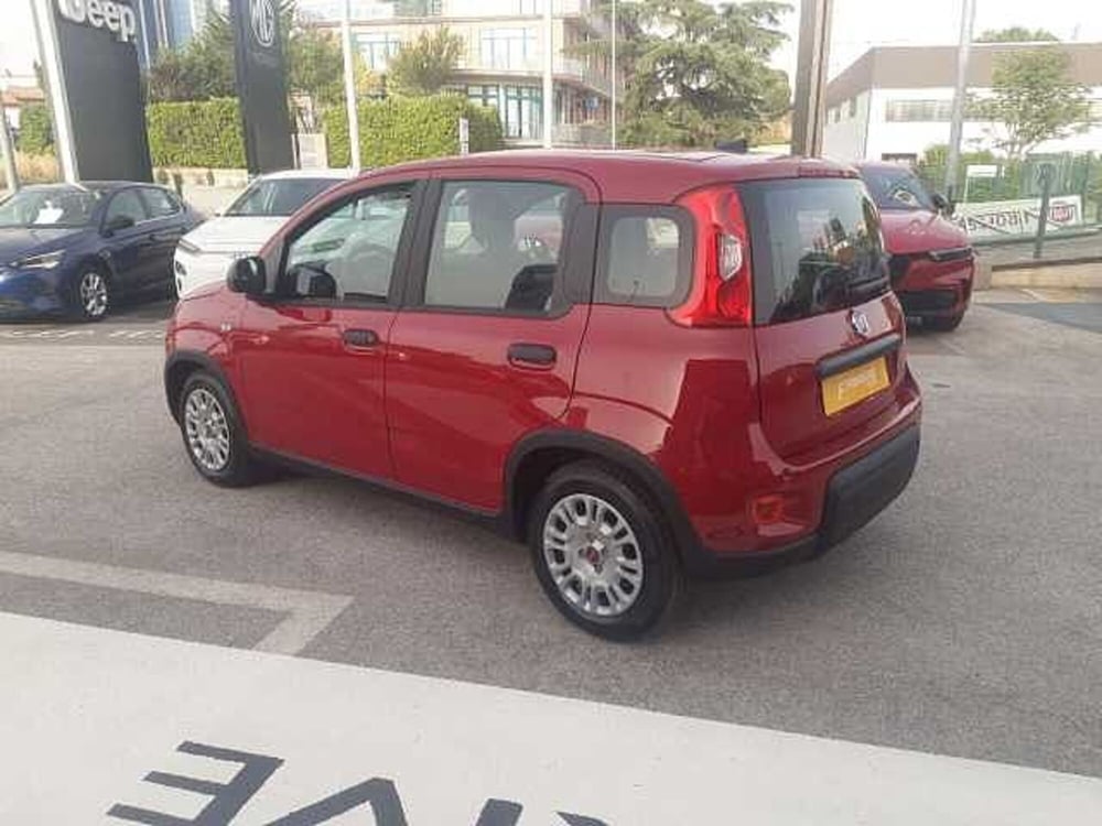 Fiat Panda nuova a Ancona (3)