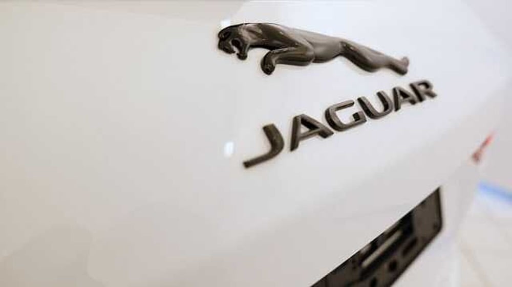 Jaguar F-Pace usata a Mantova (14)