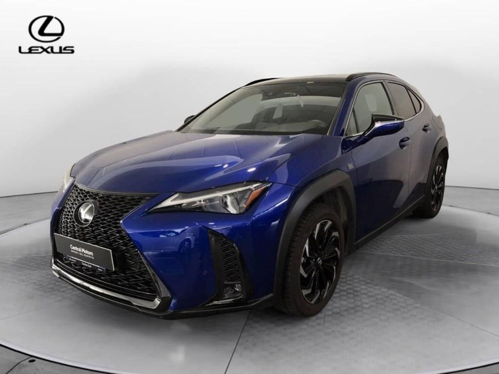 Lexus UX usata a Torino