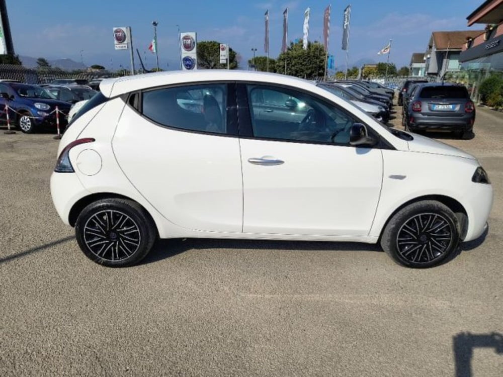 Lancia Ypsilon usata a Frosinone (7)