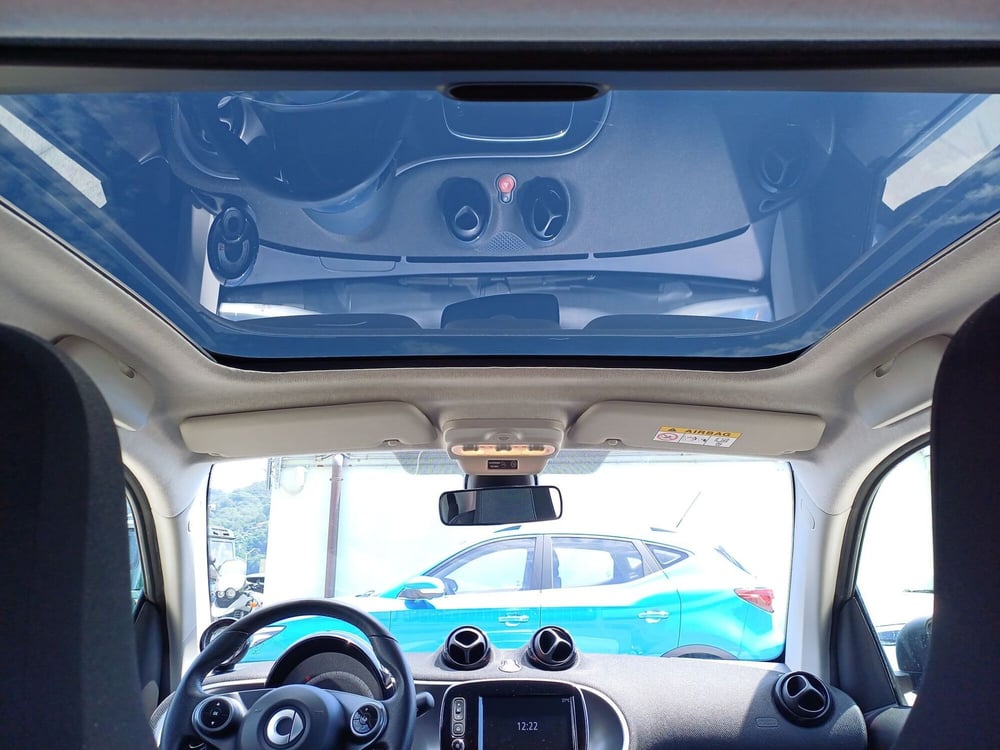 smart Fortwo usata  (6)