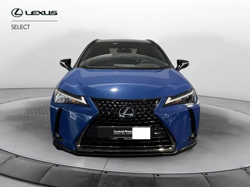 Lexus UX usata a Torino (2)