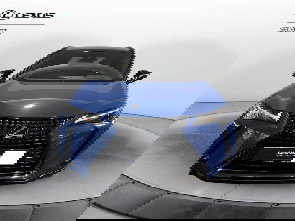 Lexus UX usata a Torino (2)