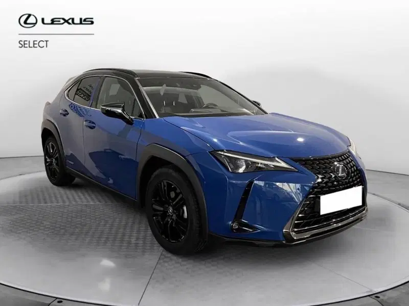 Lexus UX usata a Torino (3)