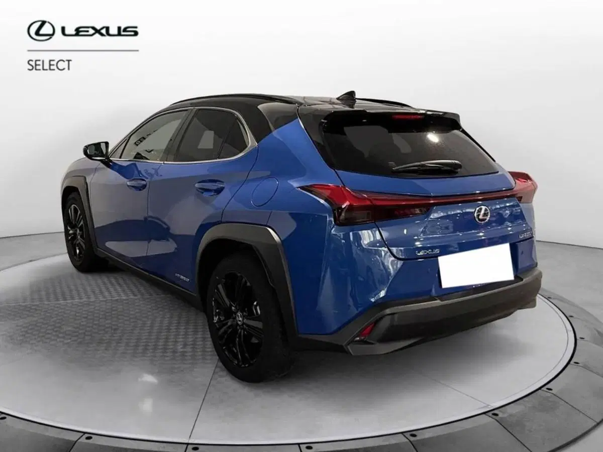 Lexus UX usata a Torino (5)