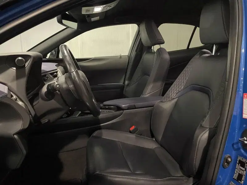 Lexus UX usata a Torino (13)