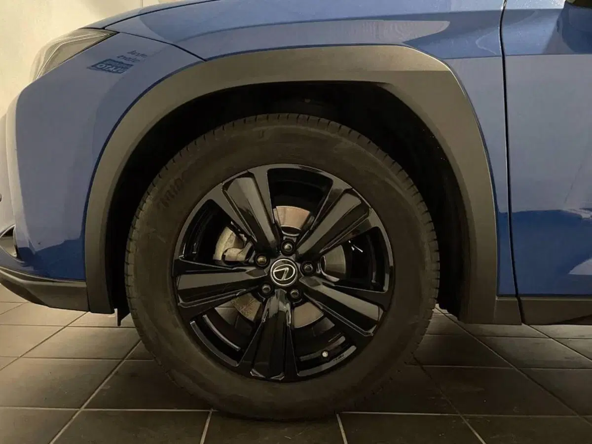 Lexus UX usata a Torino (6)