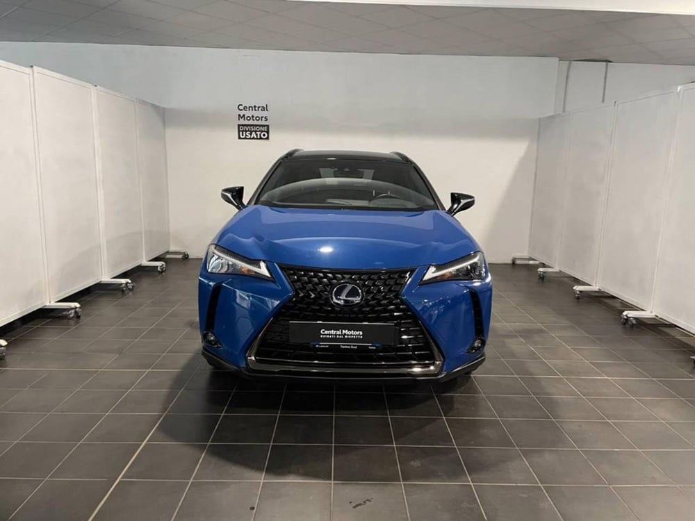 Lexus UX usata a Torino (5)