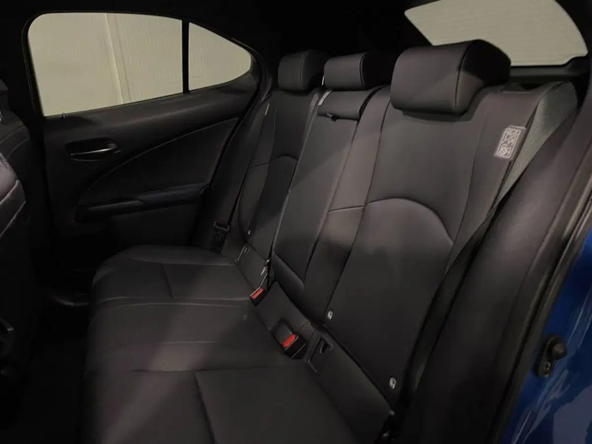 Lexus UX usata a Torino (14)