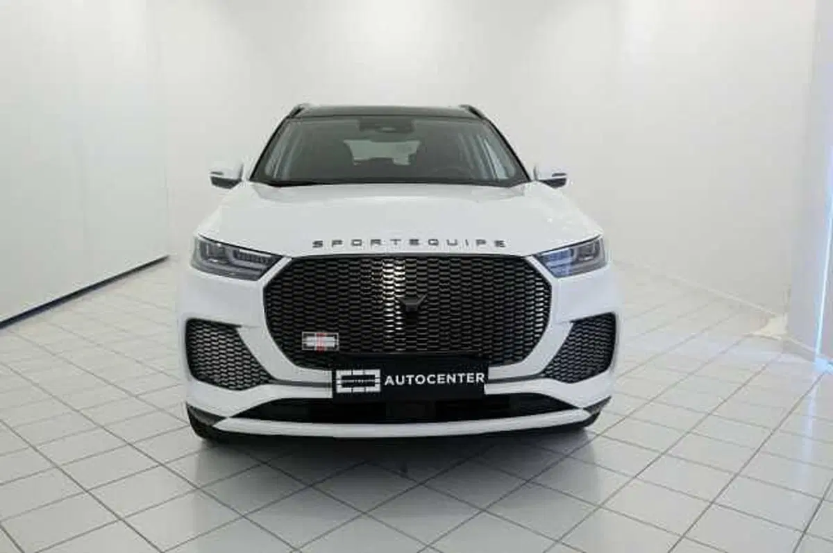 Sportequipe Sportequipe 6 Phev usata a Mantova (8)