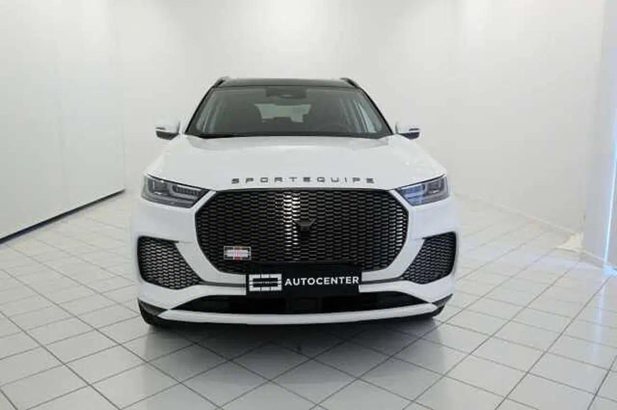 Sportequipe Sportequipe 6 Phev usata a Mantova (8)